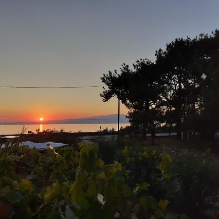 Το Σπίτι Με Το Πηγάδι - Wellcottage Thassos Skála Kallirákhis Kültér fotó
