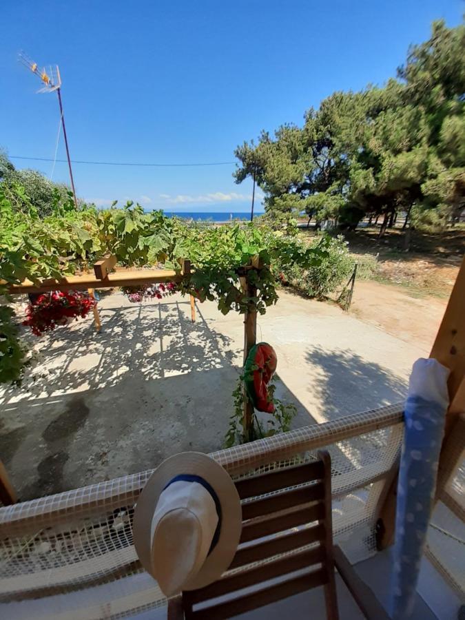 Το Σπίτι Με Το Πηγάδι - Wellcottage Thassos Skála Kallirákhis Kültér fotó