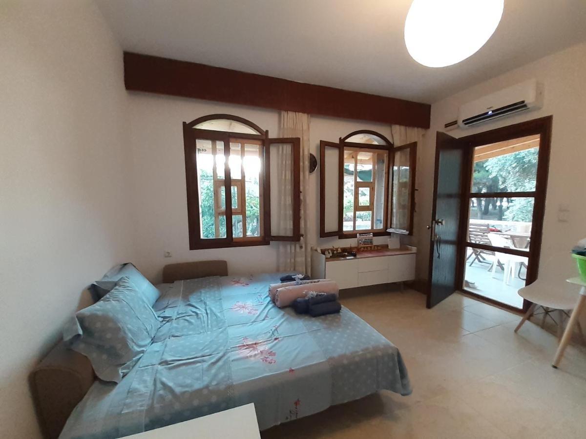 Το Σπίτι Με Το Πηγάδι - Wellcottage Thassos Skála Kallirákhis Kültér fotó