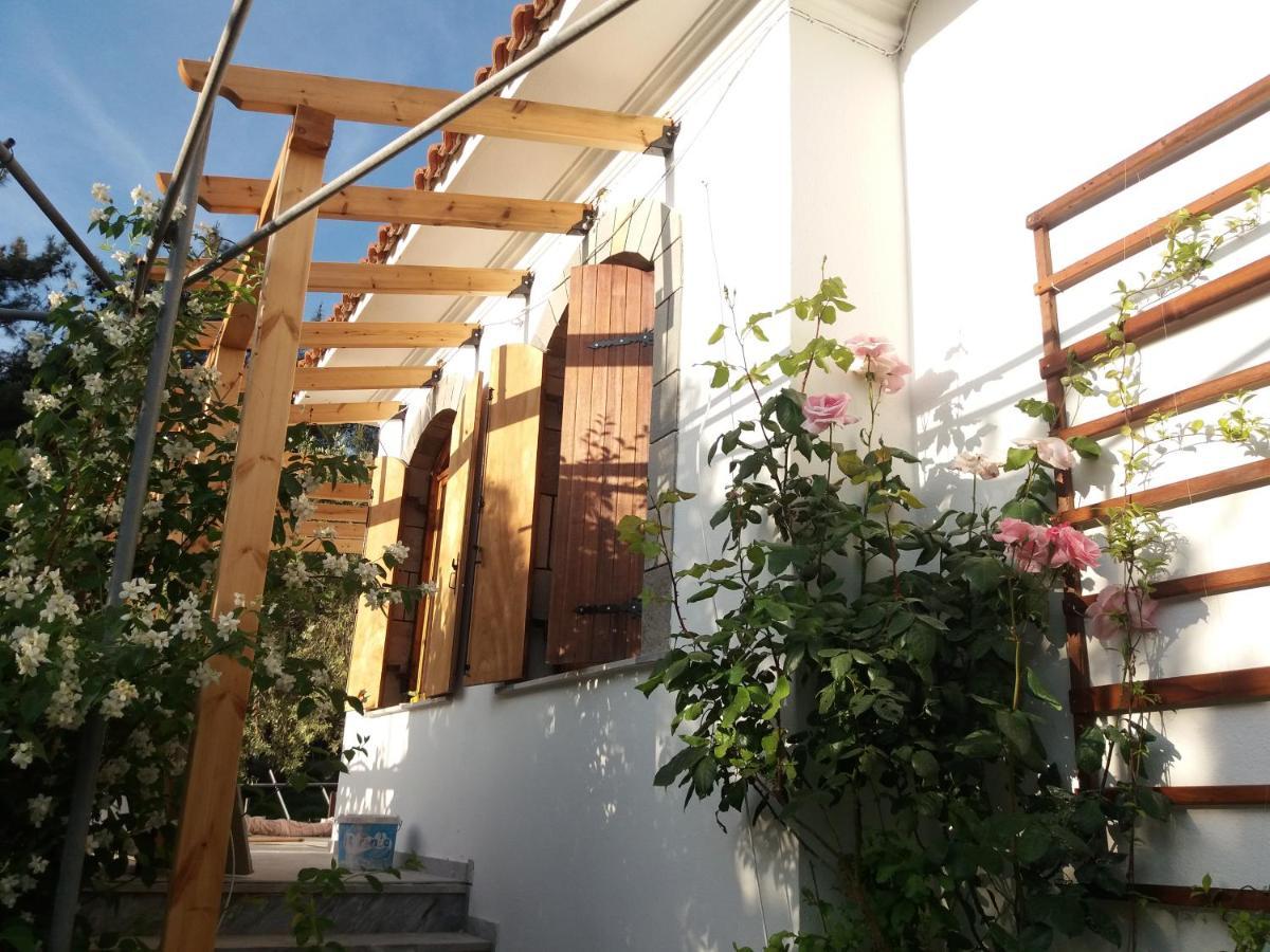 Το Σπίτι Με Το Πηγάδι - Wellcottage Thassos Skála Kallirákhis Kültér fotó